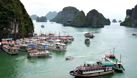 Hoạt động của tàu du lịch tại vịnh Hạ Long