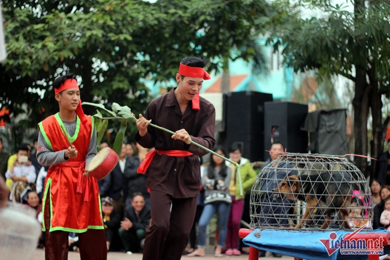 hội kén rể, Đông Anh, Hà Nội