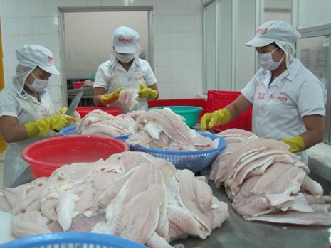 Cá, tôm 'kêu trời' vì phải gánh thêm cả 1 tỉ đồng phí - 1