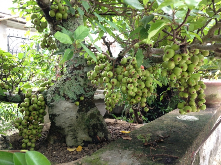phong-thuy2 phunutoday