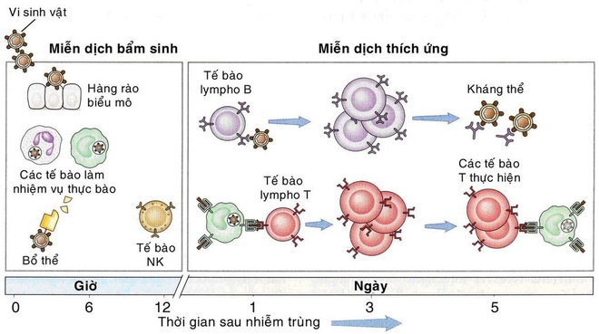 TS Nguyễn Khánh Hòa từ Canada: Kháng kháng sinh ở VN ở mức cao, nguy cơ hết thuốc điều trị - Ảnh 5.