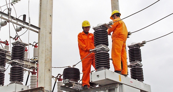 Chính phủ: Chưa có quyết định cuối cùng về việc thành lập 