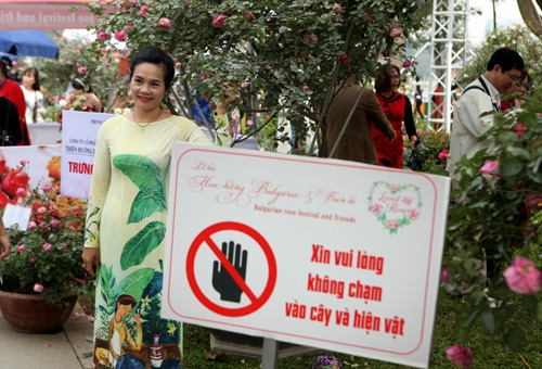 chi em chen nhau tao dang trong le hoi hoa hong hinh anh 6