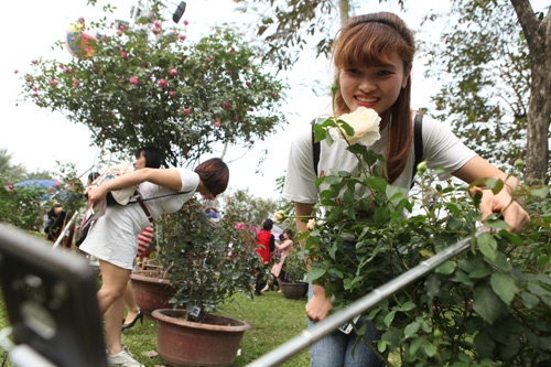 chi em chen nhau tao dang trong le hoi hoa hong hinh anh 11