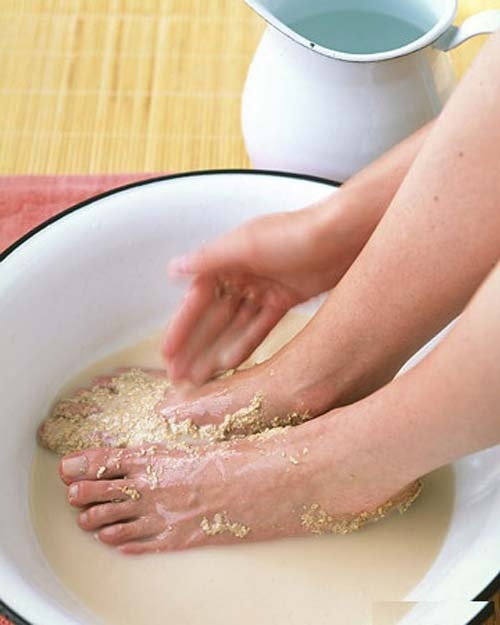 voi 4 meo nay mui hoi chan kho chiu se khong lam phien ban nua - 4