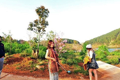 Yêu cầu Phó giám đốc Sở Tư pháp Bình Thuận tường trình vụ 'bẻ hoa anh đào' - ảnh 1