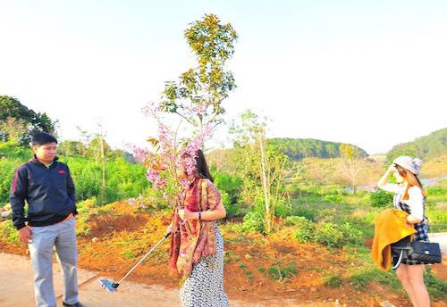 vu be hoa anh dao o da lat: nguoi be hoa co bi xu phat? hinh anh 1