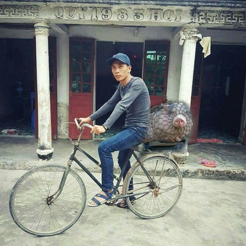 cai ket 