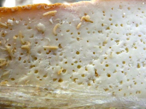 dac-san-pho-mat-thoi-day-gioi-cua-italy
