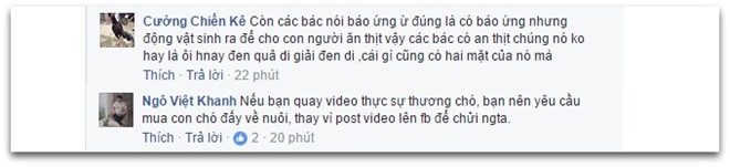 Chu cho bi chu tum co, di dau xuong nuoc vi toi bo tron hinh anh 2