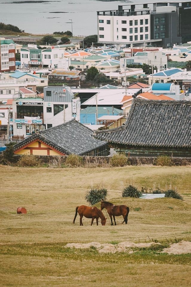 Kham pha Jeju - hon dao thien duong hinh anh 15
