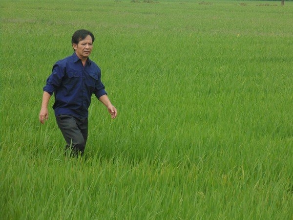 nghệ sĩ Quang Tèo, Quang Tèo