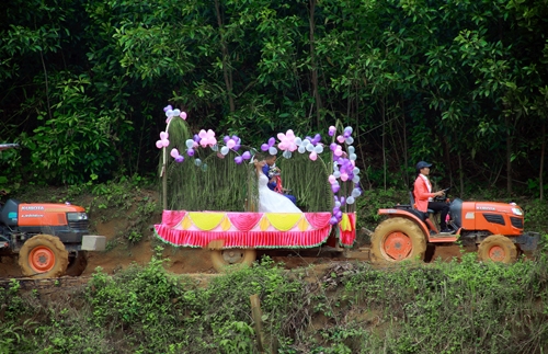 chu-re-ruoc-co-dau-bang-6-may-cay-o-nghe-an-1