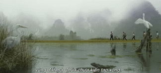 Nhung dia danh tao nen ngoi nha hoan hao cua King Kong hinh anh 7