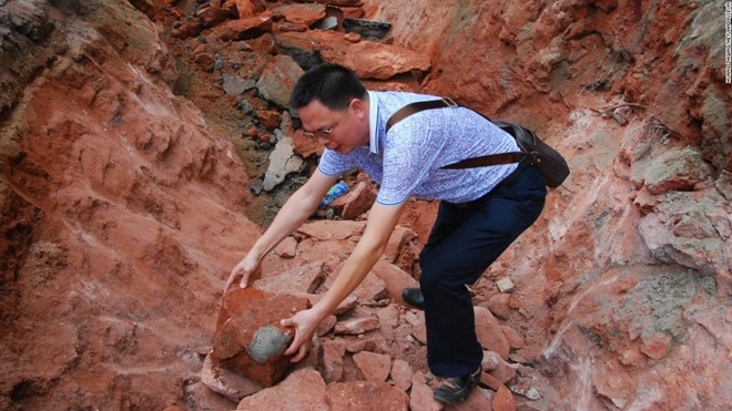 Canh sat Trung Quoc bat nhom trom trung khung long hinh anh 1