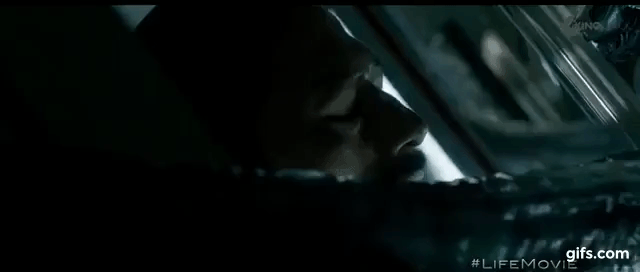 He lo nhung hinh anh kinh hoang trong 'Life - Mam song hiem hoa' hinh anh 4