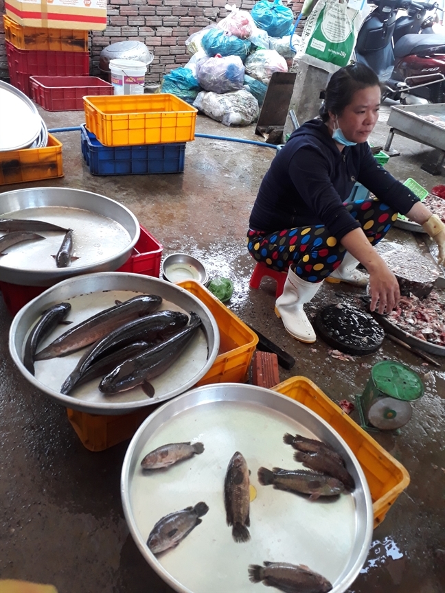 Ca dong hiem hang, dau nau Trung Quoc lung mua?