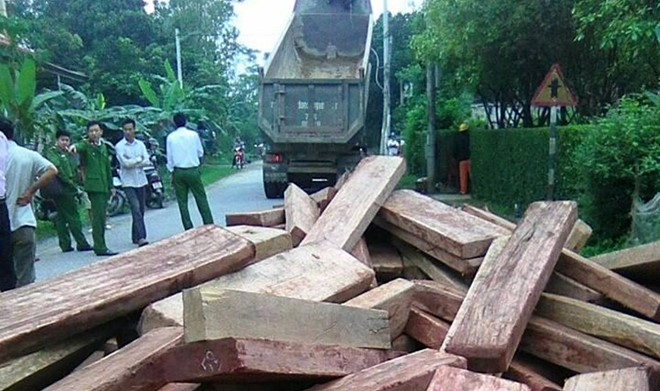 Tai xe do 20 m3 go nghi hang lau xuong duong khi bi bat giu hinh anh 1