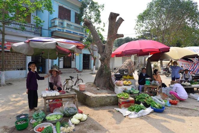 chặt 70 cây xanh, Cẩm Yên, huyện Thạch Thất, vỉa hè, Hà Nội, quận 1