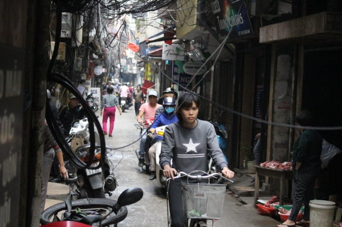 Bất tỉnh vì vướng dây điện mạng nhện 