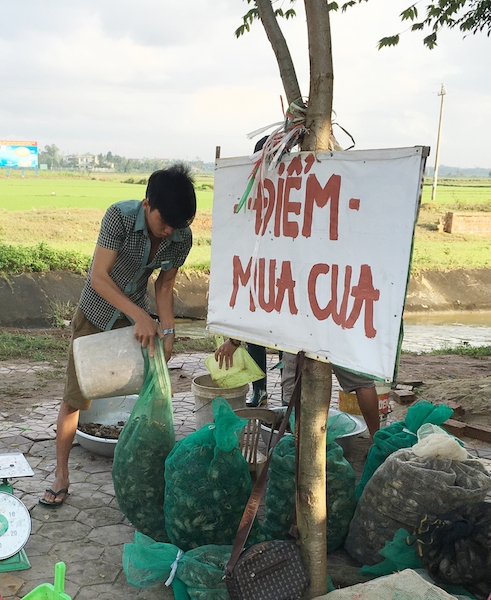 bi tim bat lien tuc, gia cua dong tang hon gap 3 lan hinh anh 1