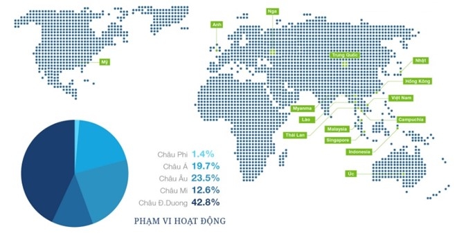 Dai gia dua AirAsia ve Viet Nam la ai? hinh anh 1