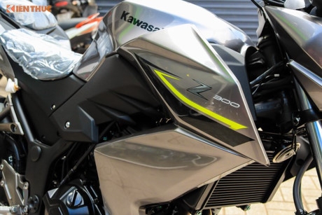 Kawasaki Z300 ABS 2017 'chot gia' 139 trieu tai Viet Nam - Anh 5