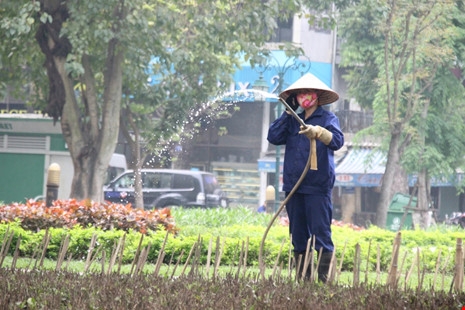Cắm chông tre tại vườn hoa: Ngăn chó hay bẫy người? - ảnh 12