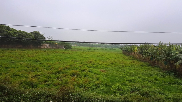 Diện tích ruộng đồng bỏ hoang ở Ngọc Lũ là rất nhiều, người dân ở đây chủ yếu là chăn nuôi lợn