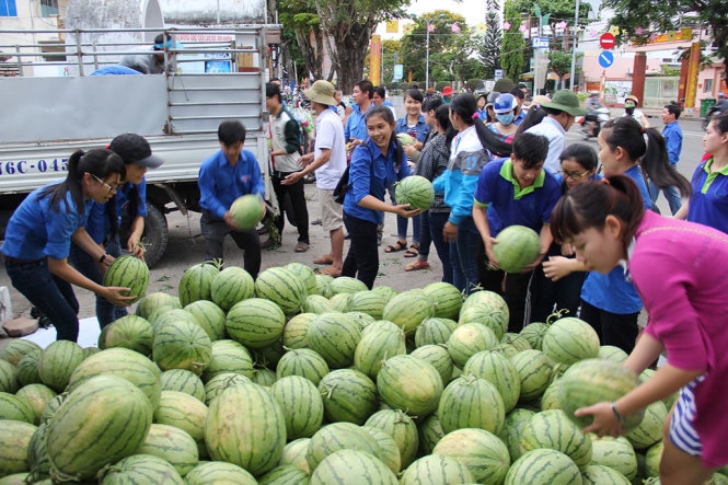 Tại sao nông sản liên tục rớt giá? 