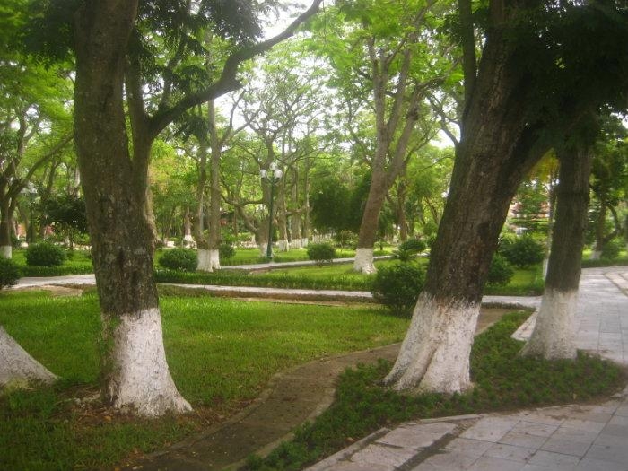 Thái Bình, di dời cây xanh, công viên trung tâm, chặt hạ cây xanh