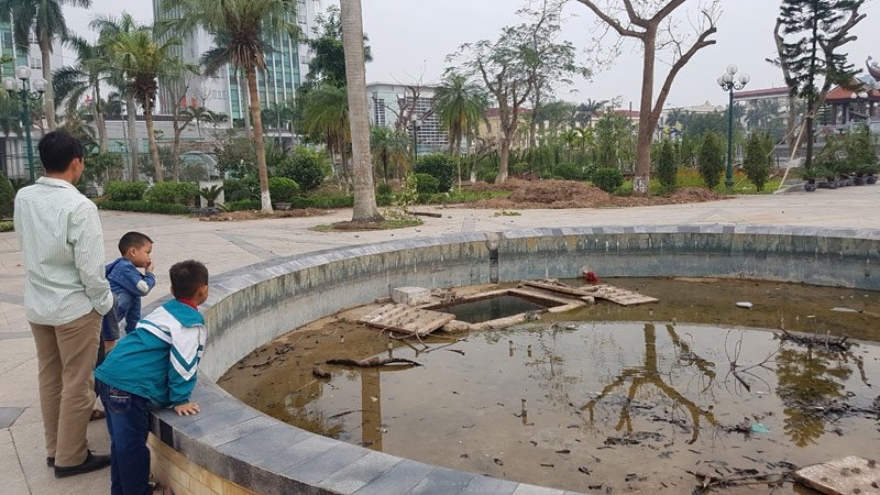 Thái Bình, di dời cây xanh, công viên trung tâm, chặt hạ cây xanh