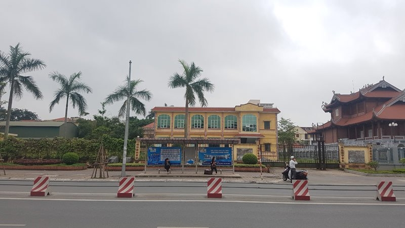 Thái Bình, di dời cây xanh, công viên trung tâm, chặt hạ cây xanh