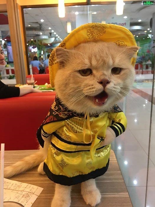 Trẫm đói rồi. Cho trẫm ăn đi.