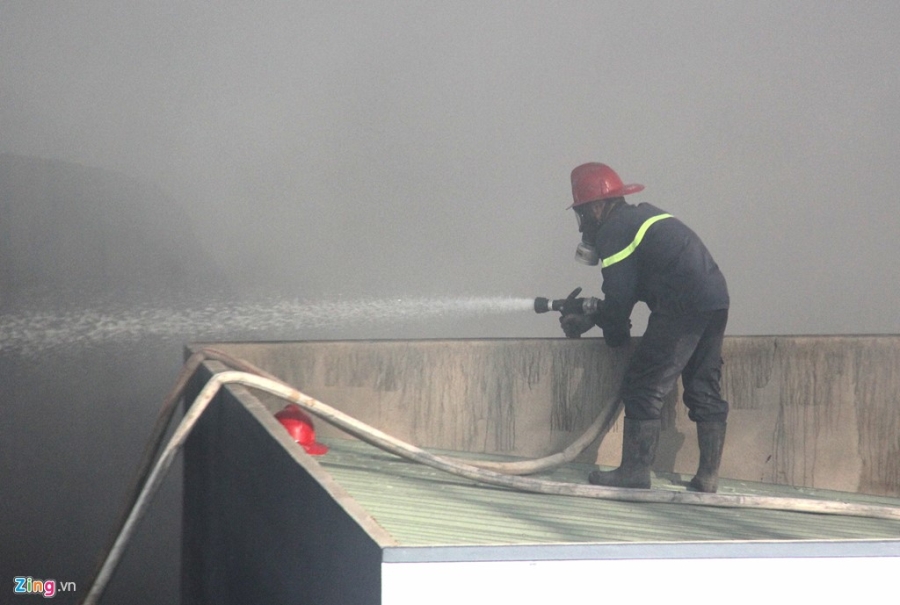 Nam gio dap 'bien lua' tai vua phe lieu rong 1.000 m2 o Long An hinh anh 4