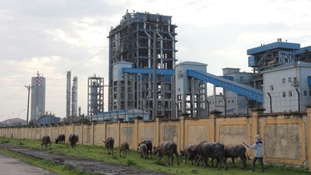  Tổng thầu EPC thực hiện dự án Nhà máy Đạm Ninh Bình là Tổng công ty Tư vấn và thầu khoán Hoàn Cầu (Trung Quốc). 