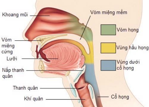 dau-hieu-phat-hien-som-ung-thu-vom-hong