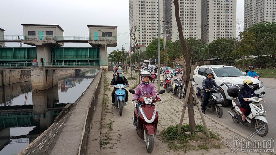 cây xanh, cây xanh chết, cây xanh Hà Nội