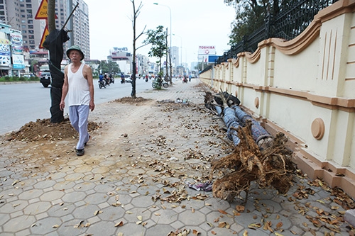 quan chan bong, cay van chet tren “duong cong mem mai” o hn hinh anh 3