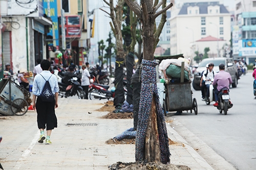 quan chan bong, cay van chet tren “duong cong mem mai” o hn hinh anh 6