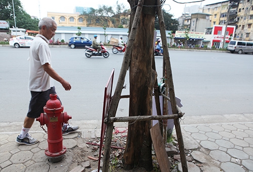 quan chan bong, cay van chet tren “duong cong mem mai” o hn hinh anh 9