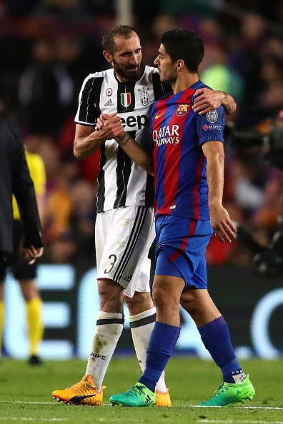 Gat het an oan, Suarez doi ao voi thac si Chiellini hinh anh 2