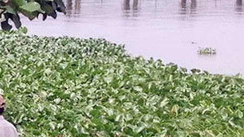 Bé gái lớp 2 bị siết cổ, dìm xác dưới ao