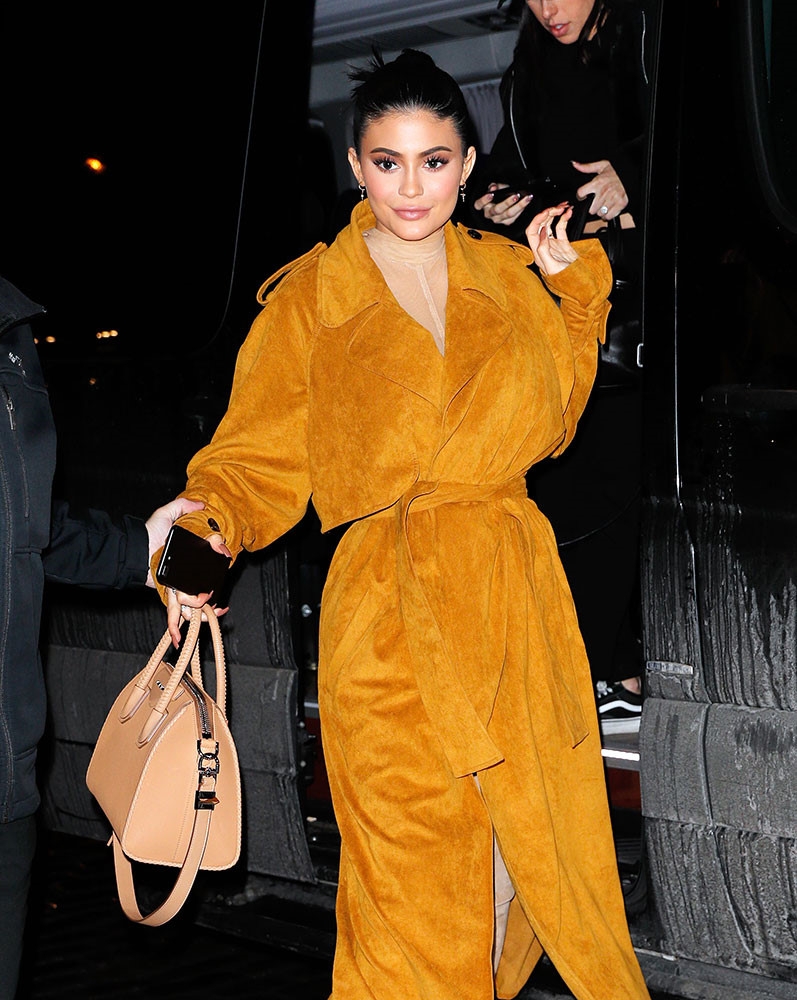 Boc gia bo suu tap tui xach dep, doc va dat cua Kylie Jenner hinh anh 2
