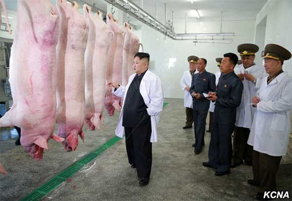 Kim Jong Un, căng thẳng Triều Tiên, Triều Tiên, tình hình Triều Tiên