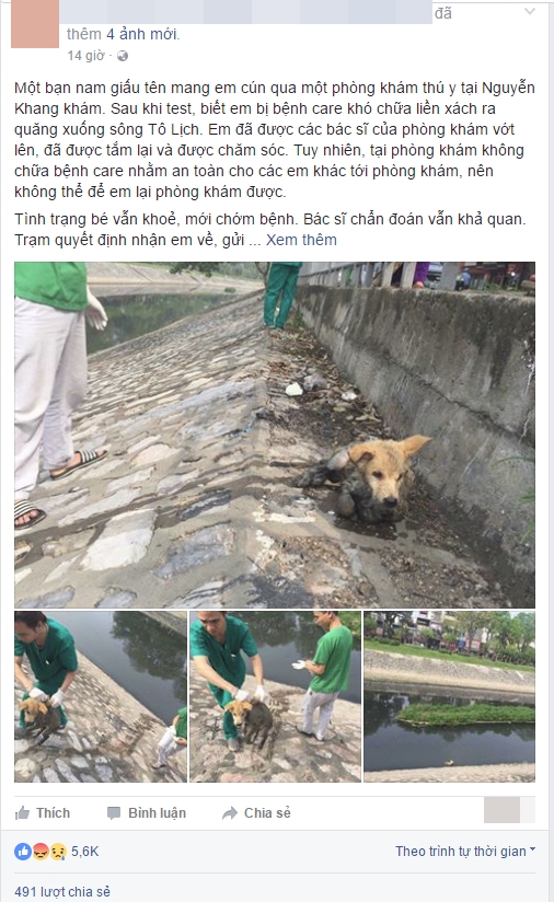 Hà Nội: Chú chó mắc bệnh care khó chữa bị chủ thẳng tay ném xuống sông Tô Lịch - Ảnh 1. Hà Nội: Chú chó mắc bệnh care khó chữa bị chủ thẳng tay ném xuống sông Tô Lịch - Ảnh 1.