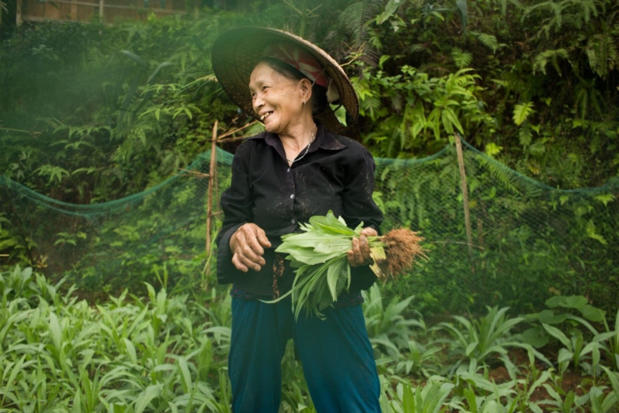 Khach Tay yeu lang ngheo heo lanh cua Viet Nam hinh anh 8