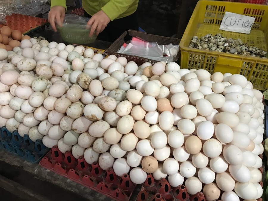 trứng gia cầm, người chăn nuôi, trứng gà, giá trứng