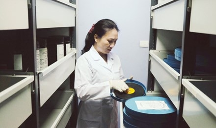 Giải phóng miền Nam từ một góc nhìn khác ảnh 2