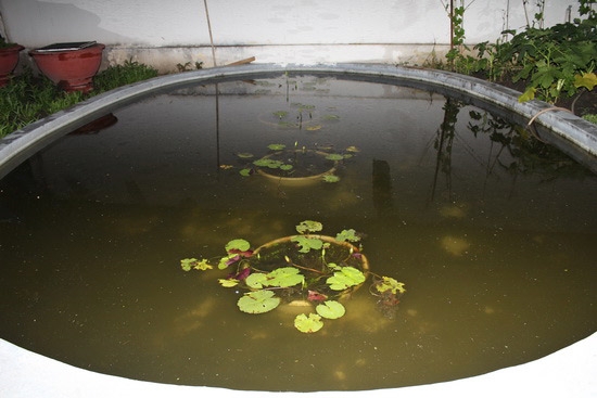 Diễm My,sao viet
